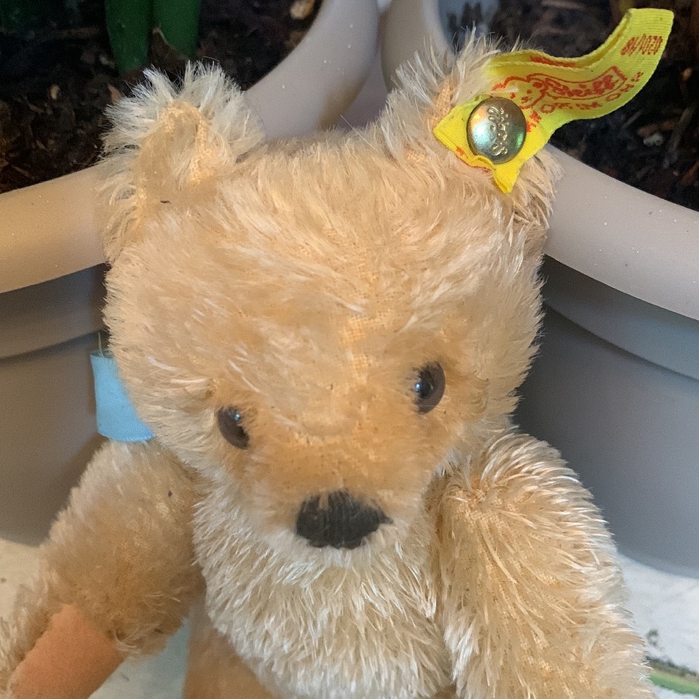 Vintage Mohair Steiff Bear 7” - Picture 2 of 3